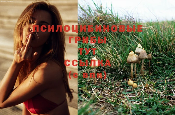молекула духа Балабаново