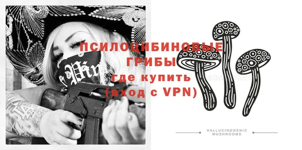 стафф Баксан