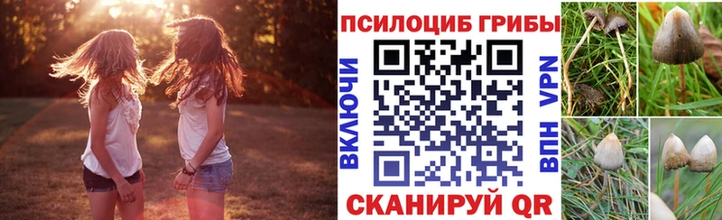 Галлюциногенные грибы ЛСД  Северо-Курильск 